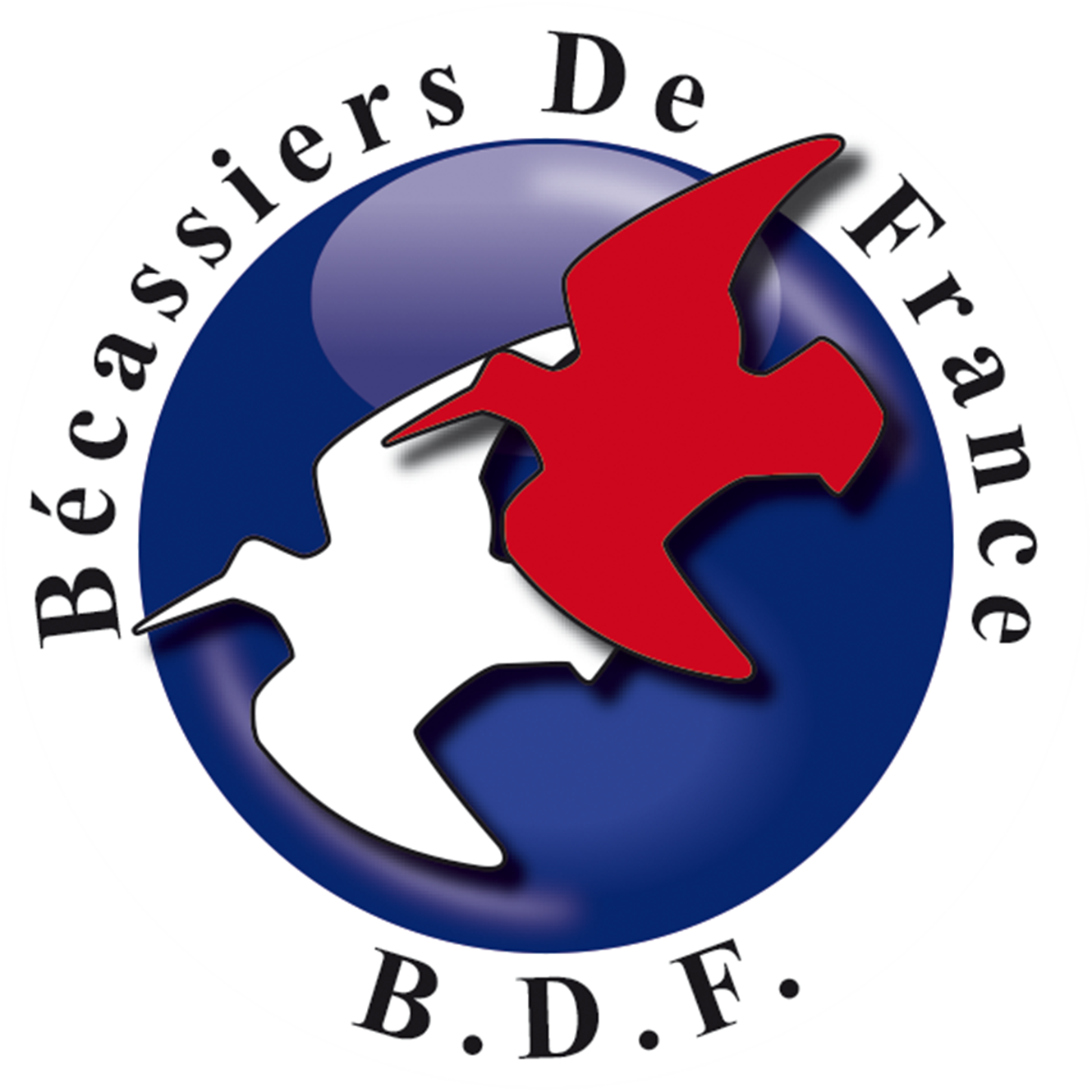 BDF